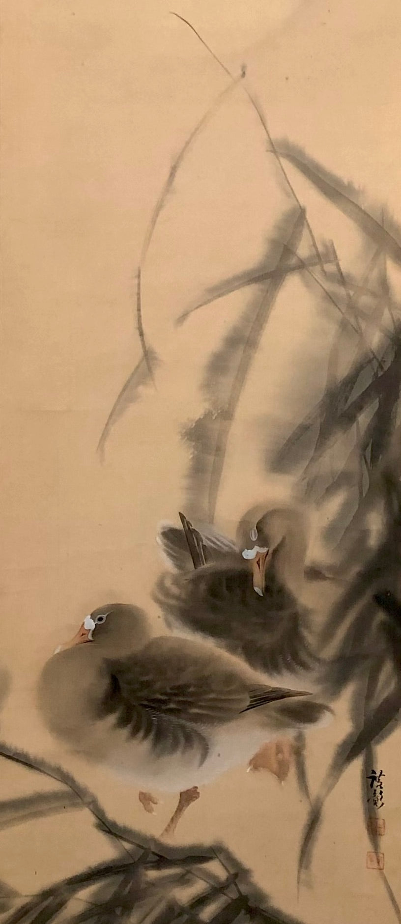 Vintage Japanese Kakejiku: Oshidori | Mandarin Duck Hanging Scroll