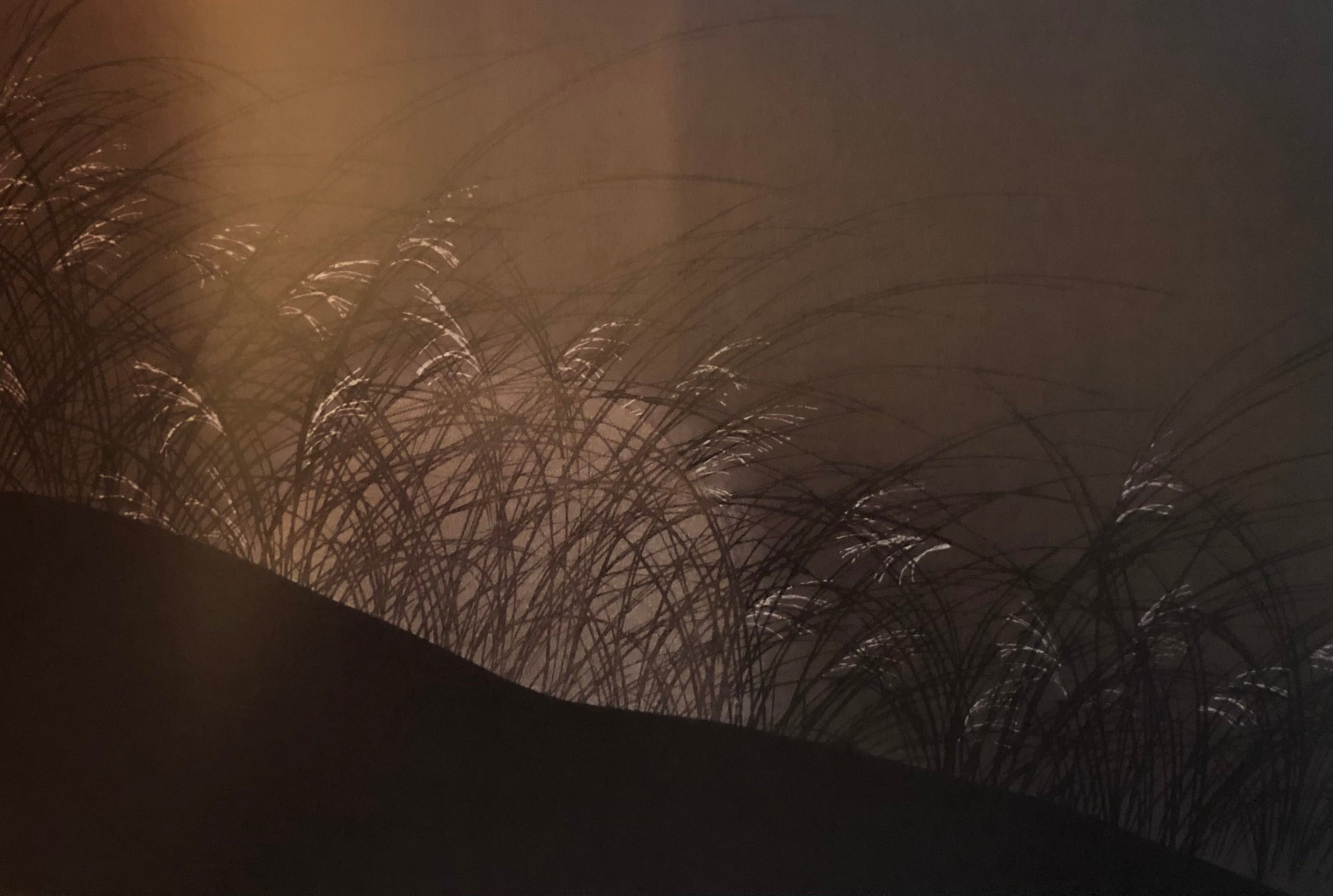 Kamisaka Sekka: Rinpa Traditionalist, Modern Designer by Andreas Marks