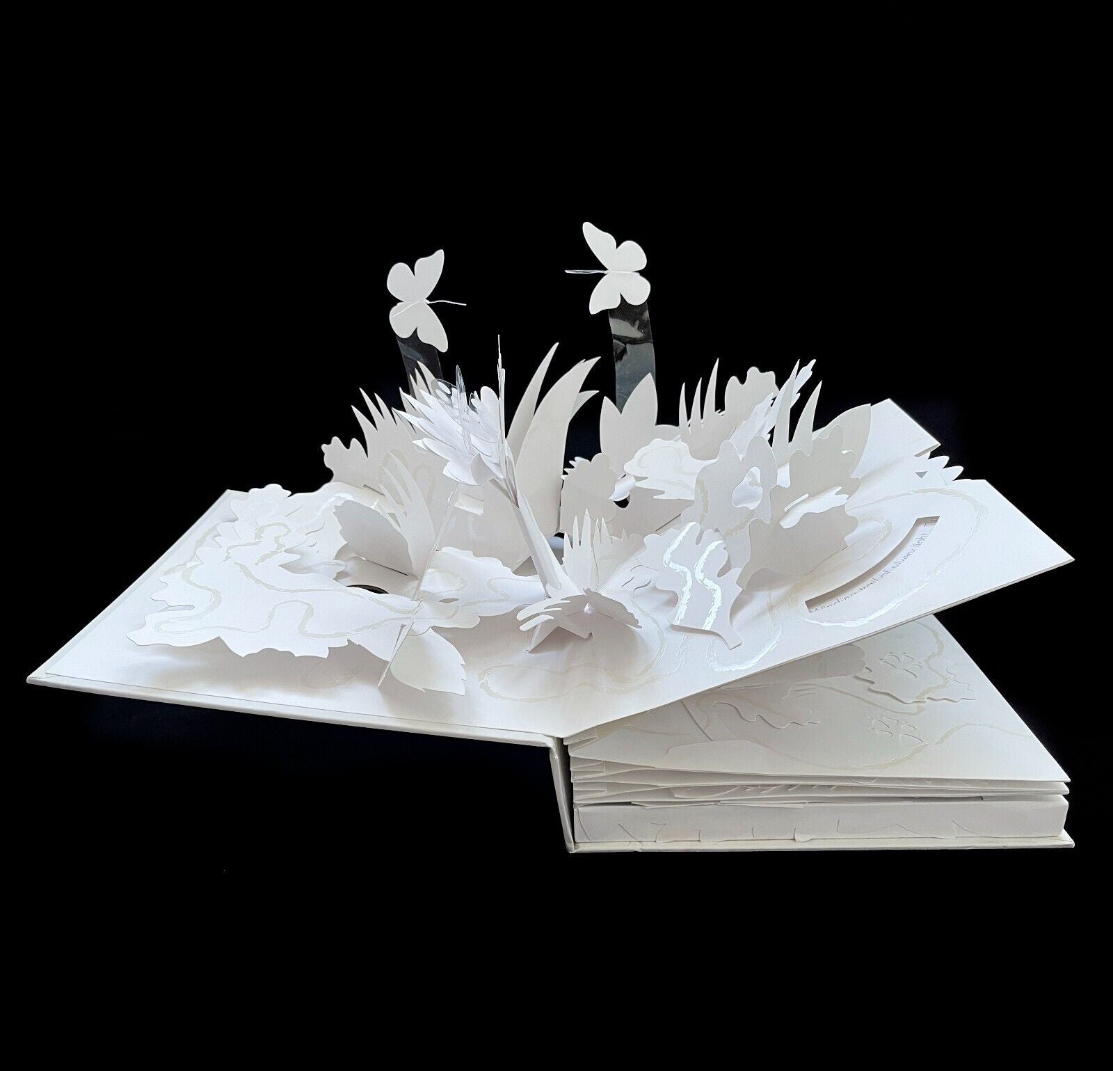 Trail: Poetry Pop-Up Book by David Pelham