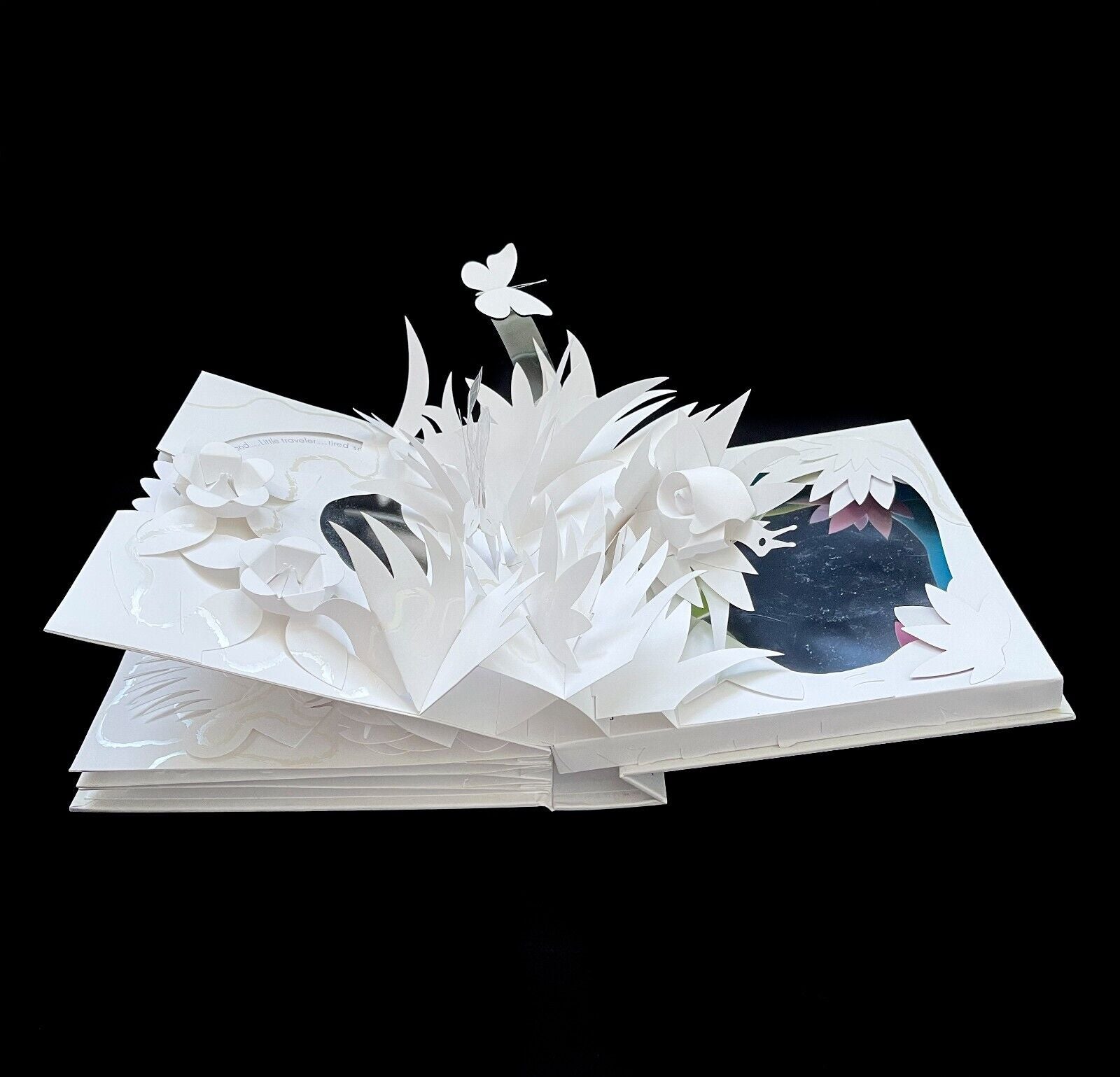 Trail: Poetry Pop-Up Book by David Pelham