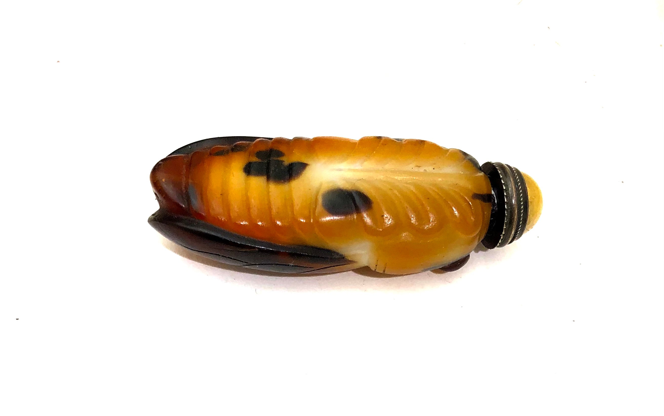 Antique Chinese Peking Glass Snuff Bottle with Carved ‘Cicada’
