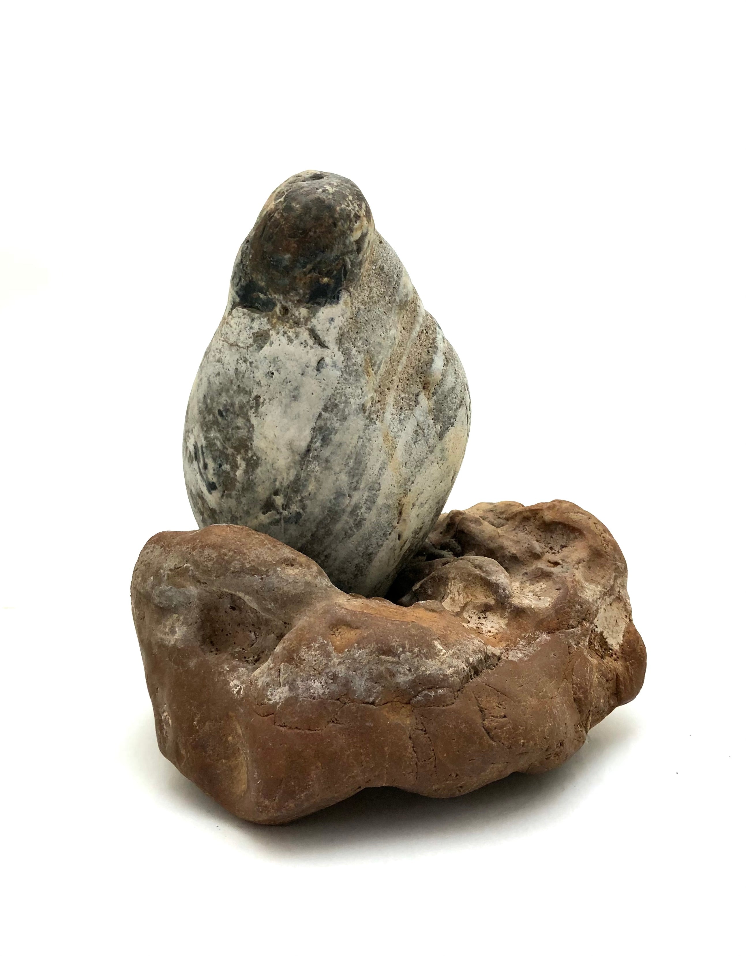 Vintage Rare Spirit Stone Drama “Tetsumaru-ishi” | Old Japanese Scholars Stone