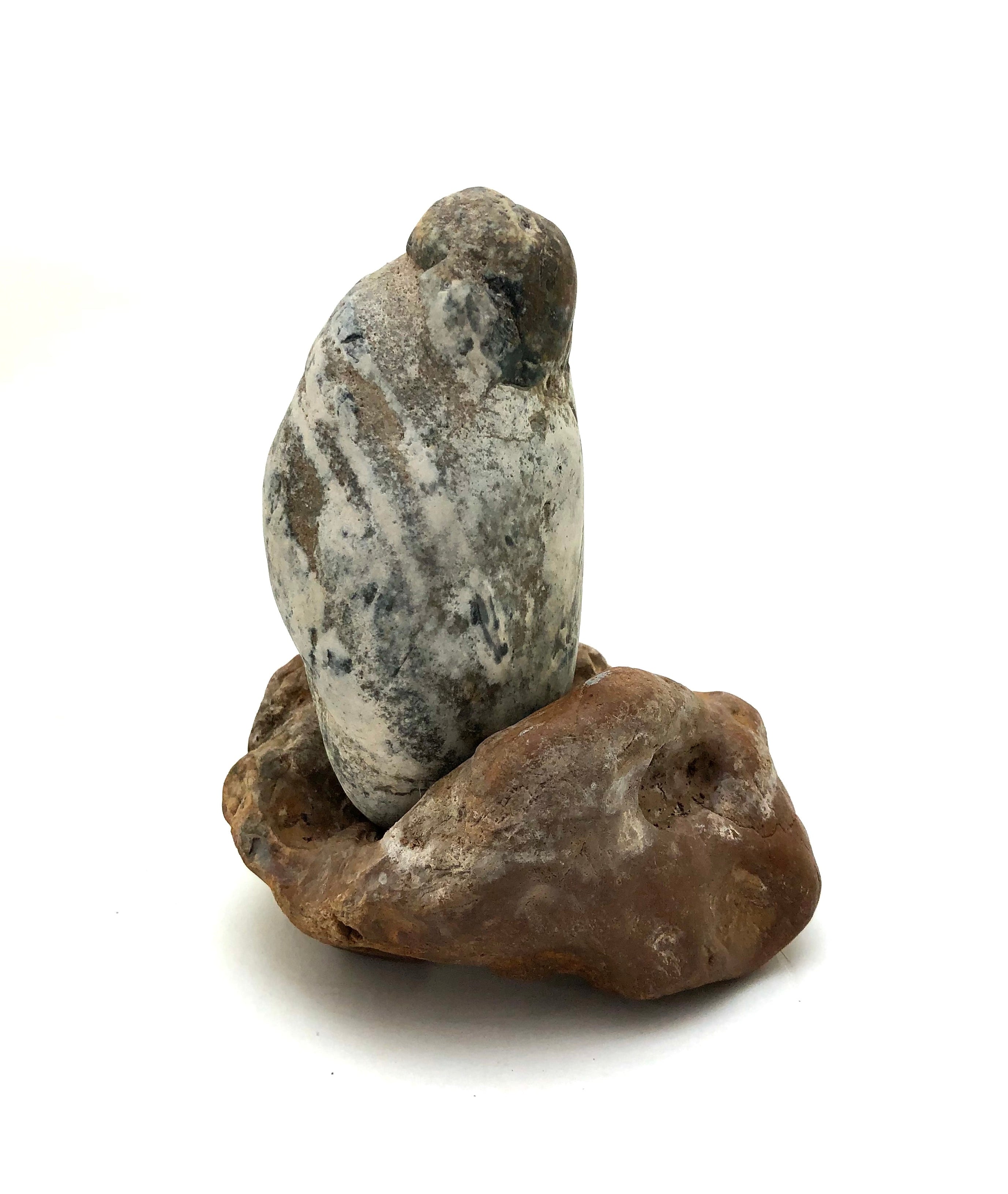 Vintage Rare Spirit Stone Drama “Tetsumaru-ishi” | Old Japanese Scholars Stone