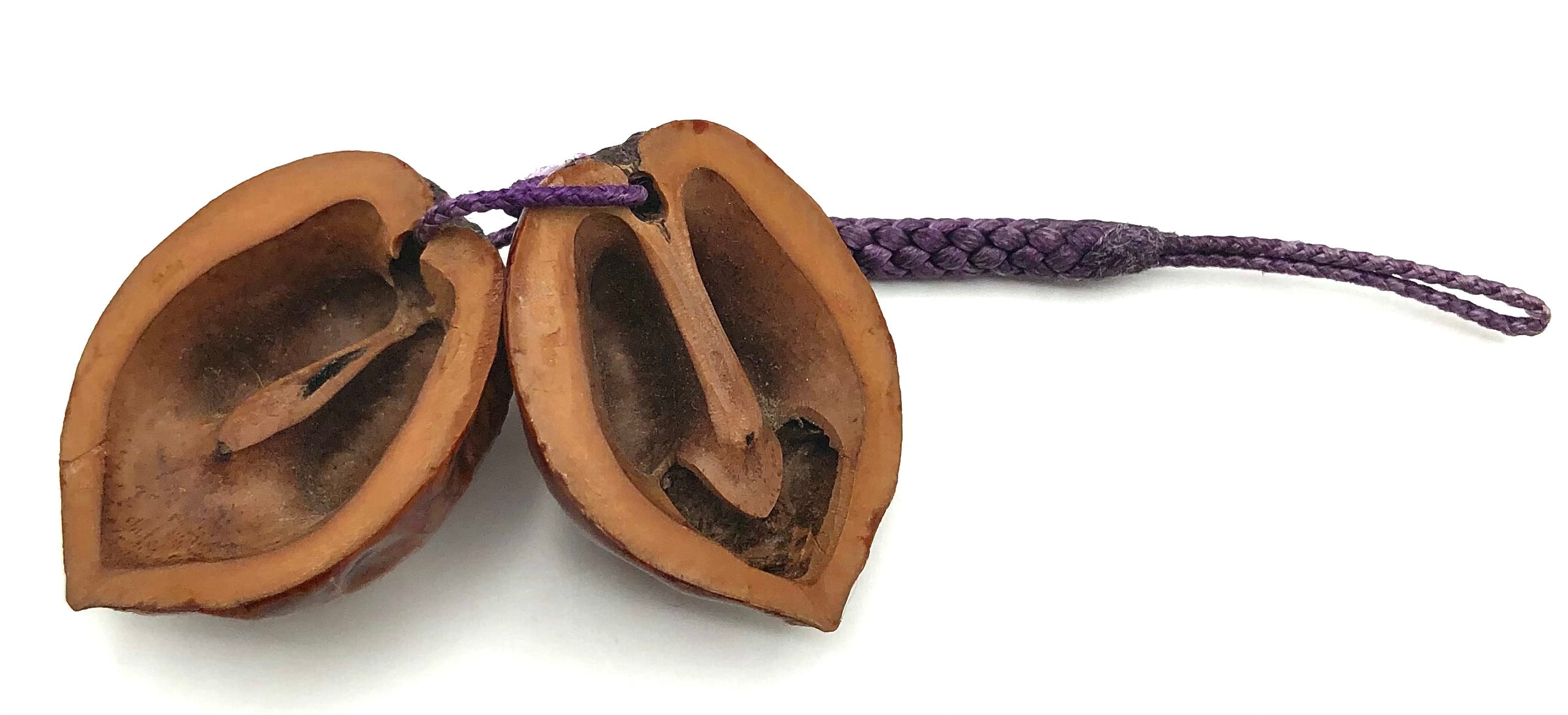 Vintage Japanese Walnut Amulet (Toggle)